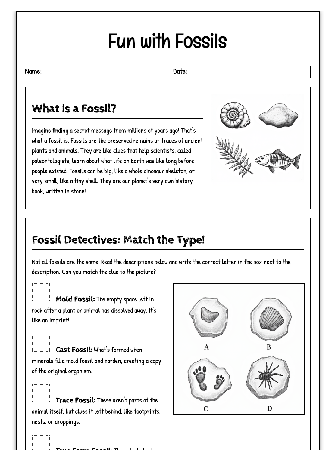 Fun with Fossils